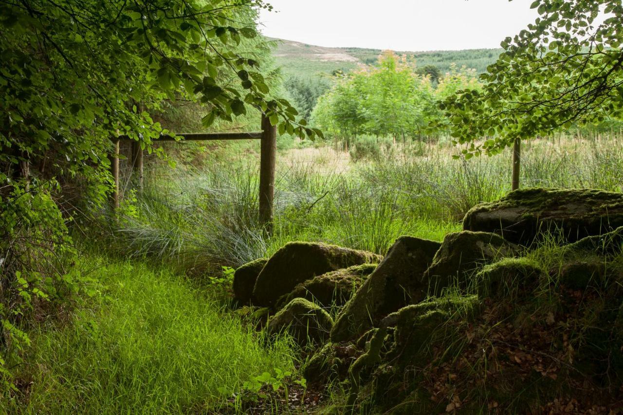 The Wicklow Escape (Adults Only) Donard Dış mekan fotoğraf