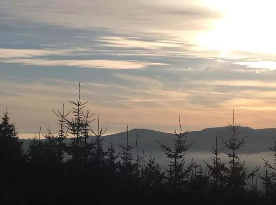 The Wicklow Escape (Adults Only) Donard Dış mekan fotoğraf