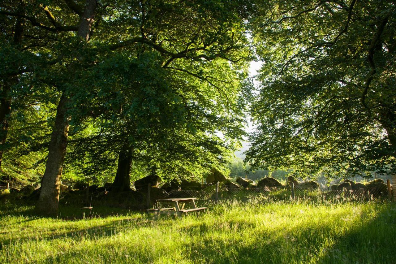 The Wicklow Escape (Adults Only) Donard Dış mekan fotoğraf